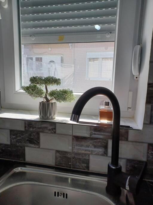 Petite Suite With Backyard. Mytilene Exterior photo